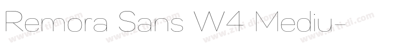 Remora Sans W4 Mediu字体转换